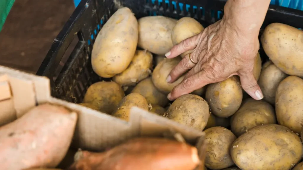 Potatoes: The Starch-to-Sugar Trap