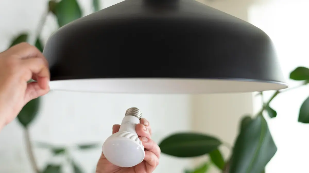 Make Your Home a No-Fall Zone