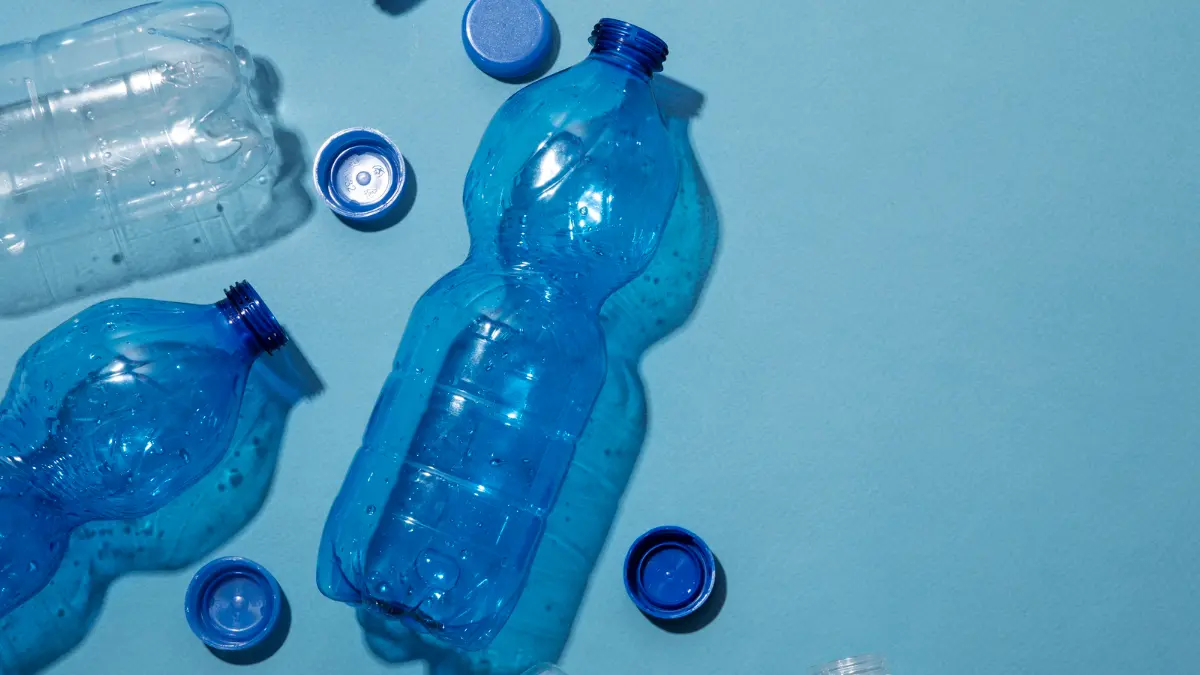 The Plastic Saboteur: Is Your Bottle Making You Dull?