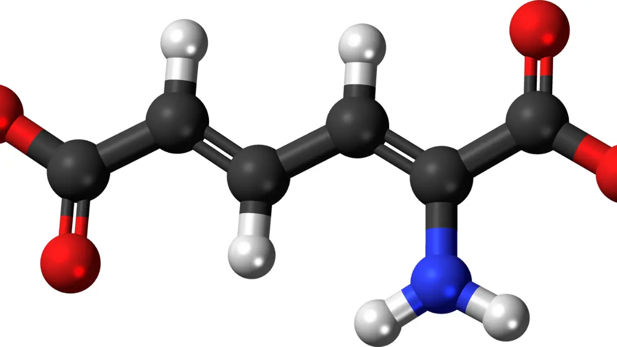 Spermidine (Cellular Recycling)