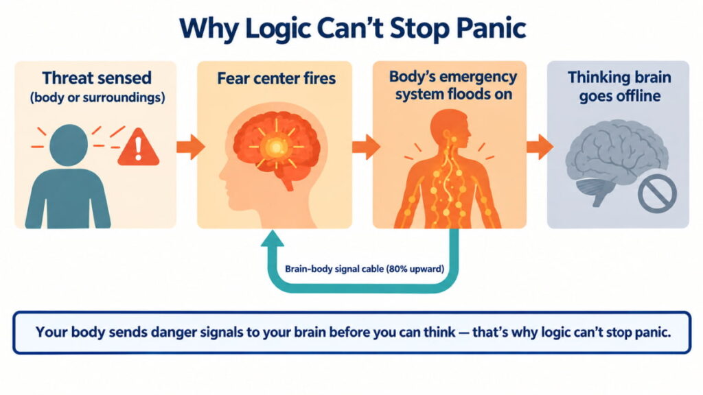 Process diagram of amygdala hijack showing how the fear center overrides the thinking brain during panic, with a brain-body signal cable arrow returning upward from the body.