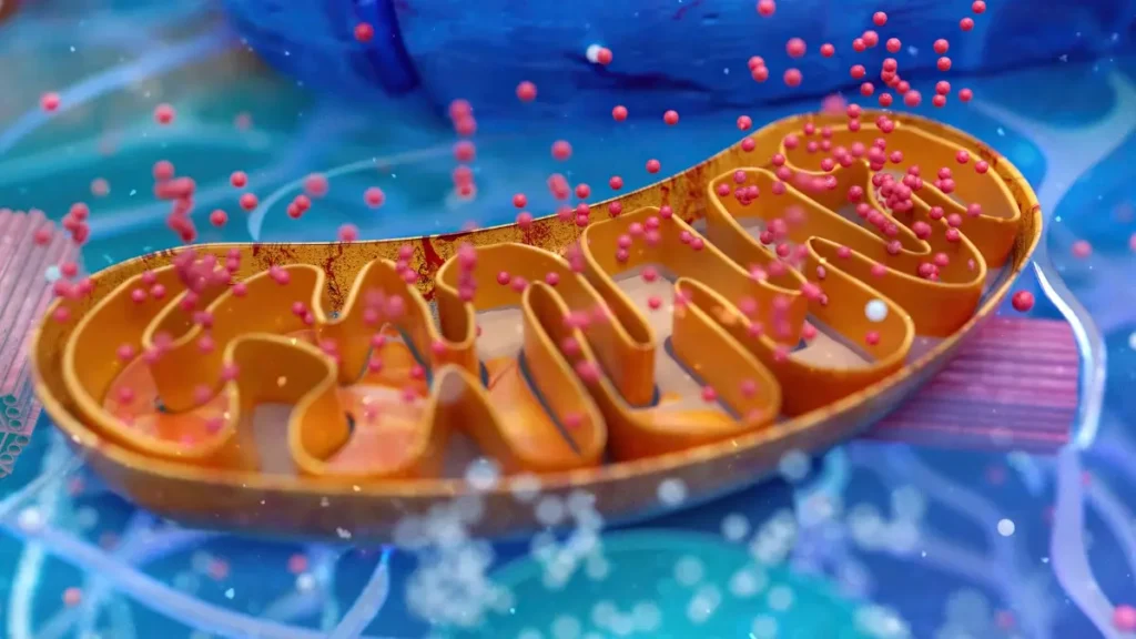 Detailed 3D illustration of a golden mitochondria organelle producing energy particles within a blue cellular environment.