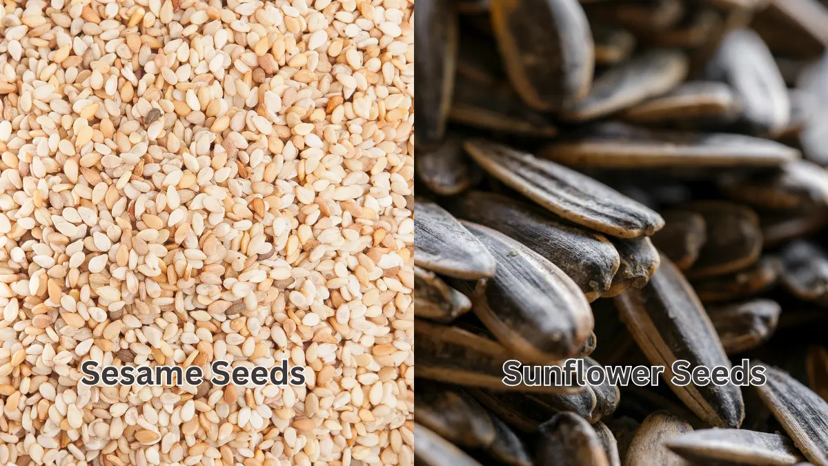 A side-by-side comparison of small tan sesame seeds and large striped sunflower seeds for luteal phase hormonal support