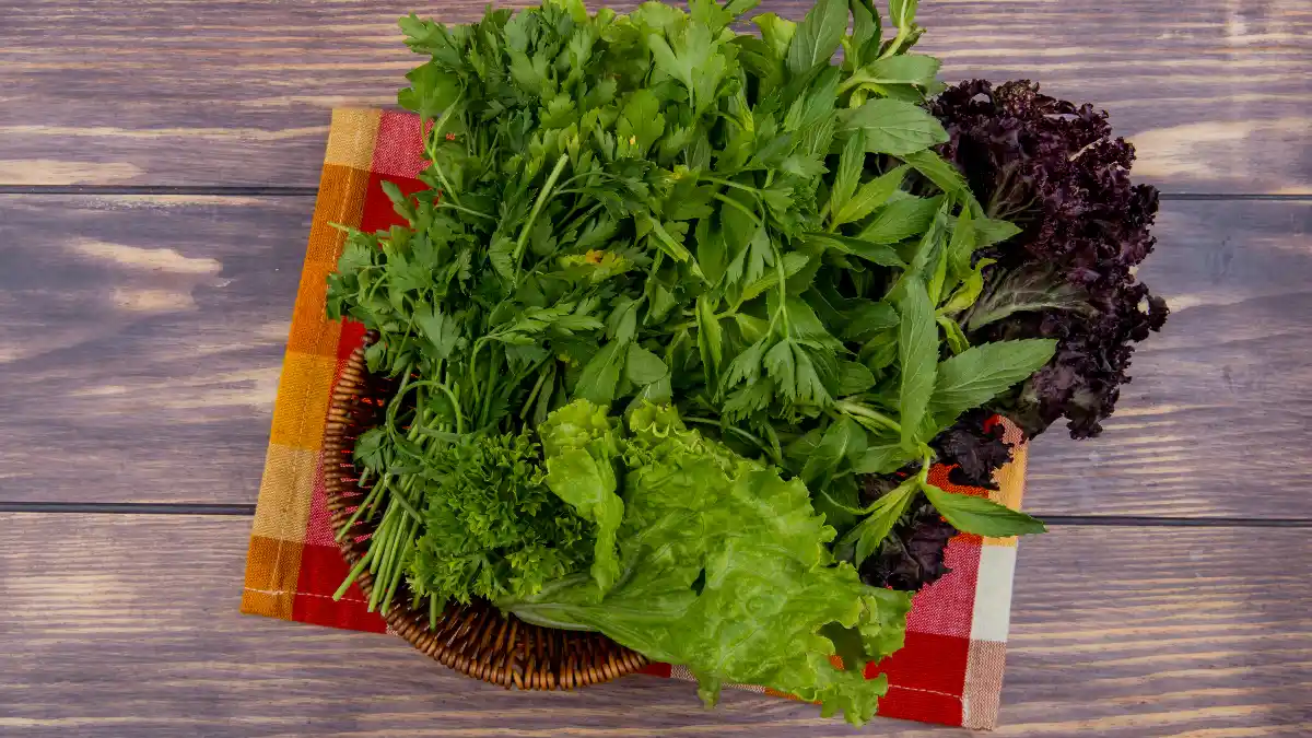 Fresh leafy greens like mint and basil in a wooden basket, providing Vitamin C for resilient bones.