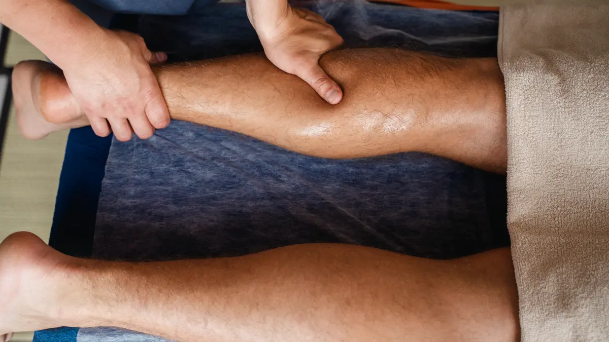 The Truth About the Spiderweb Inside You