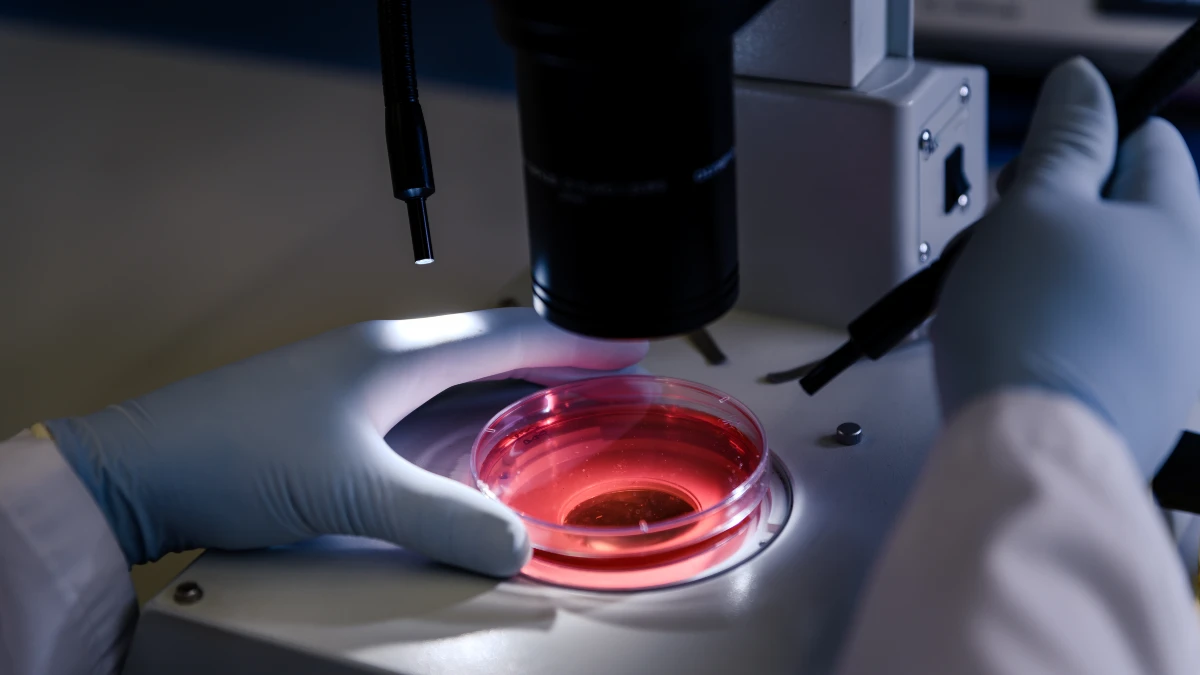 red blood cells microscopic 3d, healthy cell membrane illustration, erythrocytes blood flow editorial, fatty acid cell wall biology, medical photography blood cells