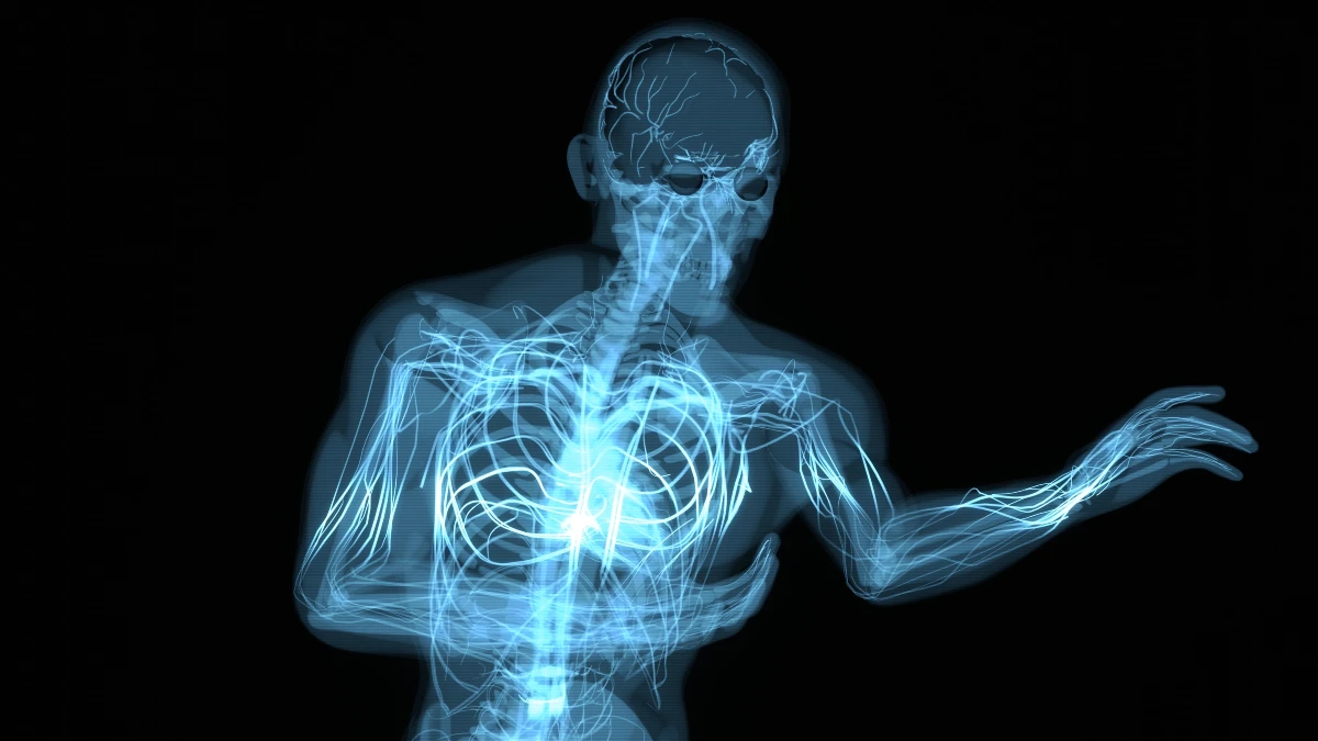 Abstract red 3D heart illustration pulsing, as flared ribs signal your body thinks it is in danger from stress.