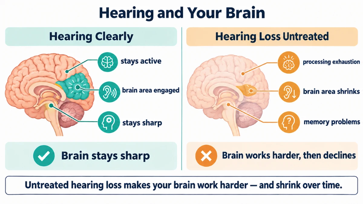 Two-state diagram comparing an active brain with clear hearing against a shrinking brain with untreated hearing loss, showing memory and thinking problems develop.