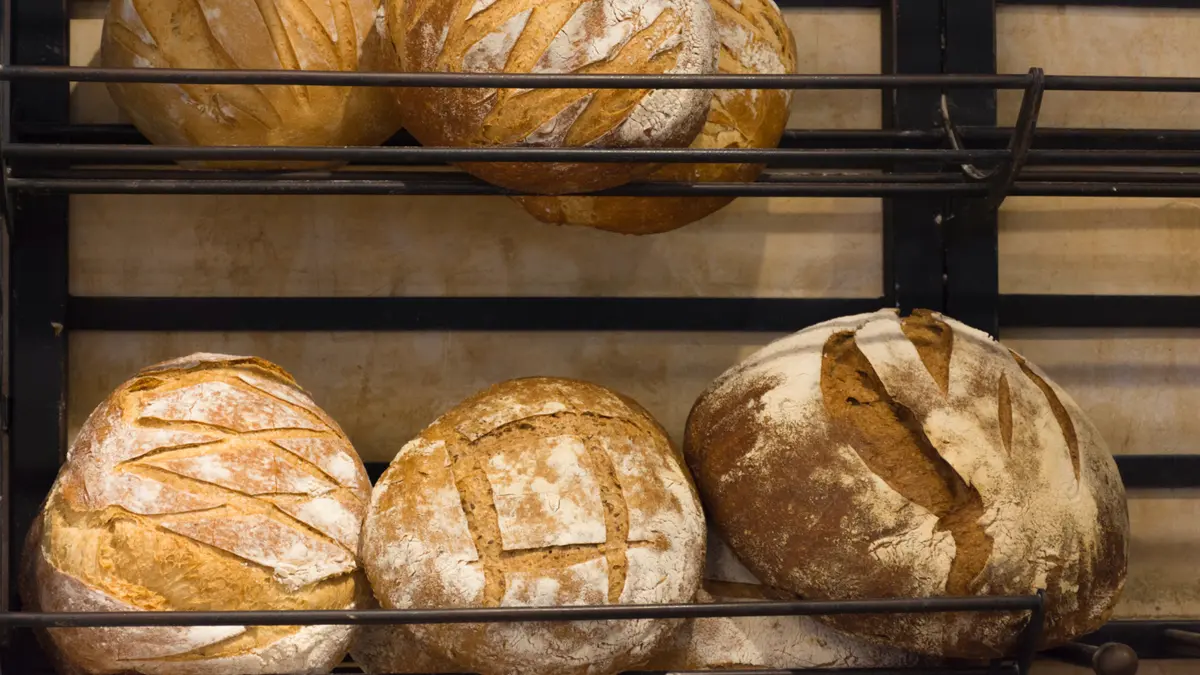 Multiple rustic no-knead artisan bread loaves with scored crusts cooling on bakery racks.