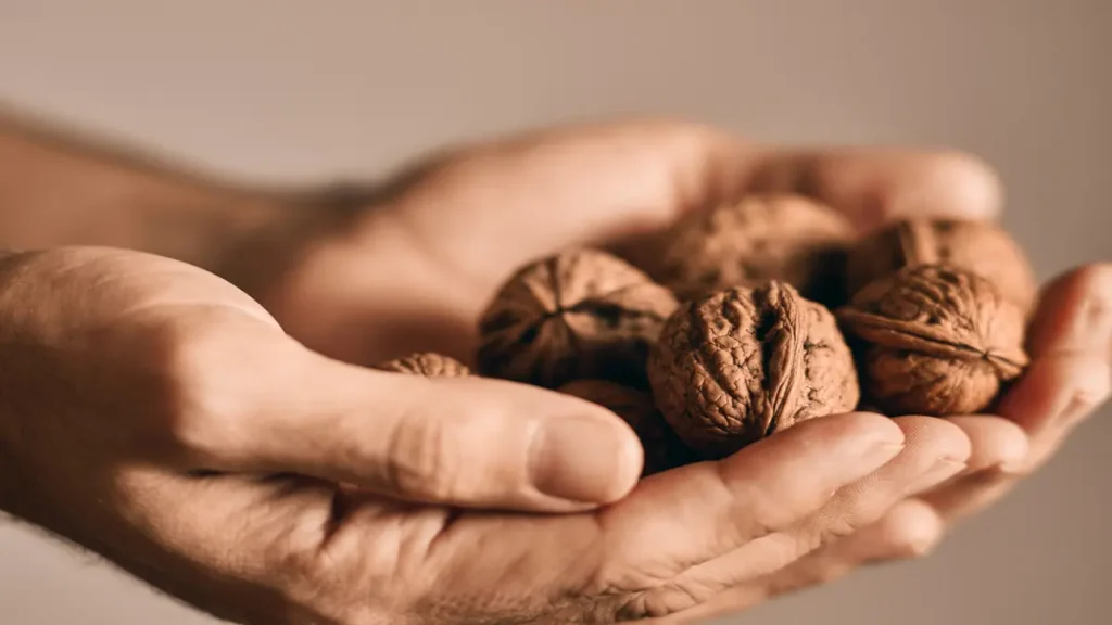 A pair of hands gently cupping a handful of raw walnuts, ready to eat for a slow-release fuel source during an afternoon slump.