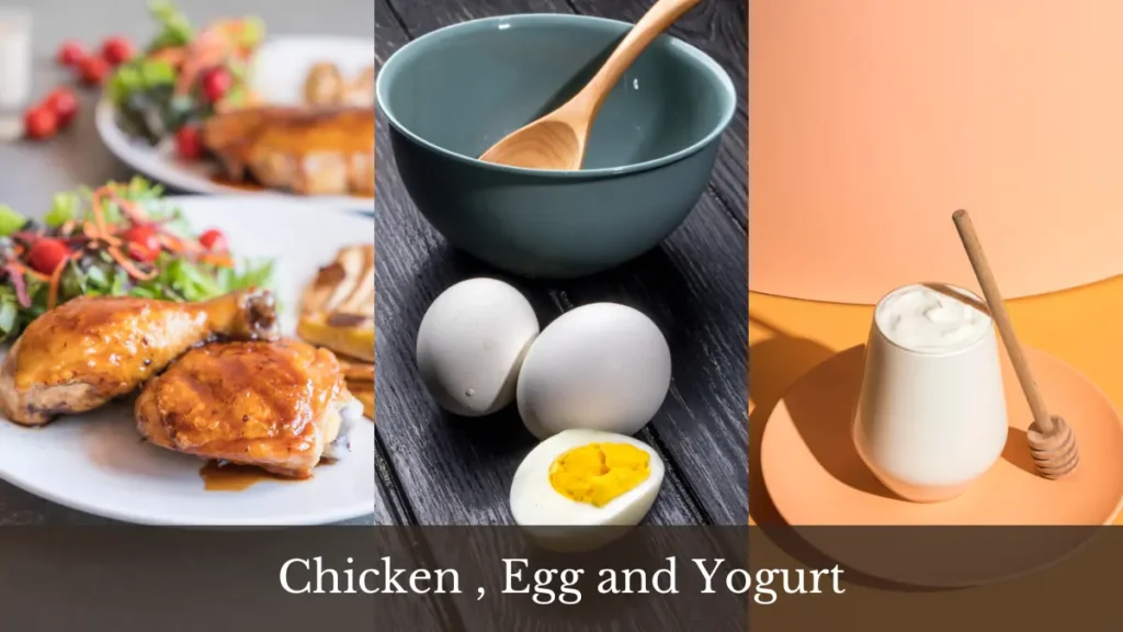 A triptych of chicken, eggs, and yogurt used as a protein-first fuel source to support metabolic heat production.