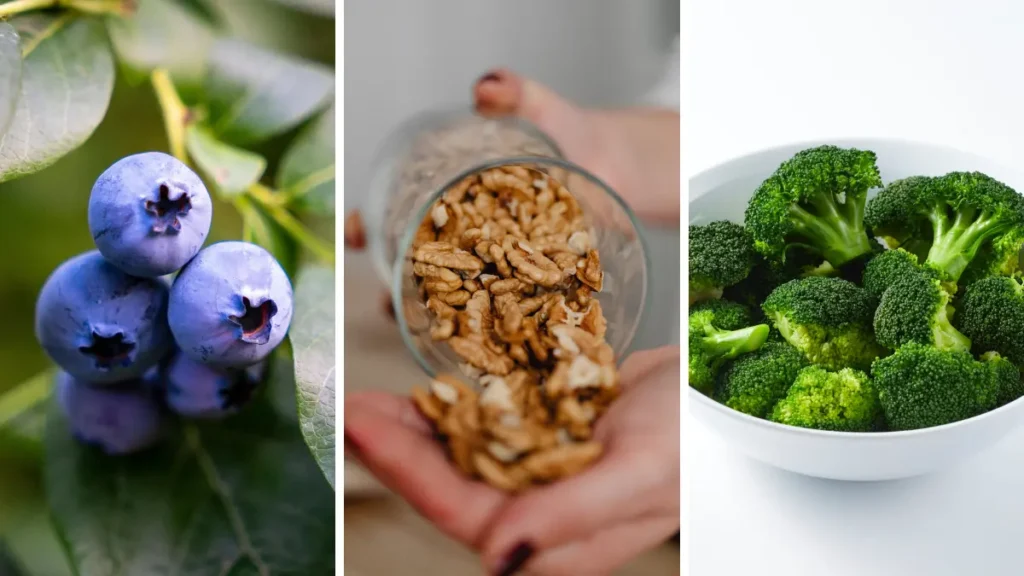 A photo collage of blueberries, walnuts, and broccoli to support brain clearance and basal metabolic rate.