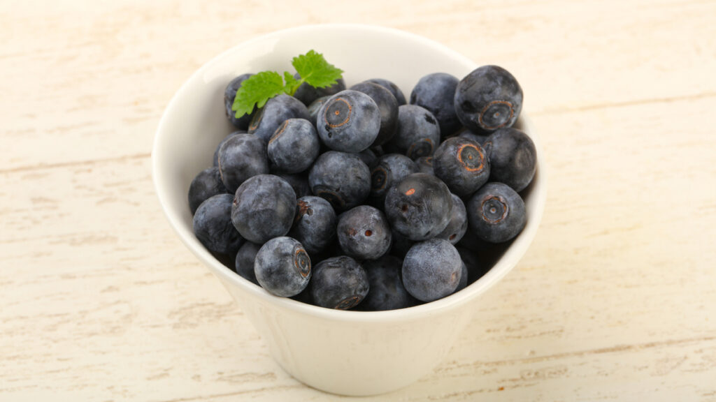 Fresh blueberries in a white bowl fueling metabolic heat production and supporting the gut mucosal barrier.