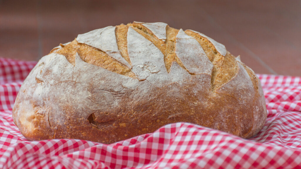 A rustic loaf of artisanal sourdough bread as an alternative to support a healthy basal metabolic rate.