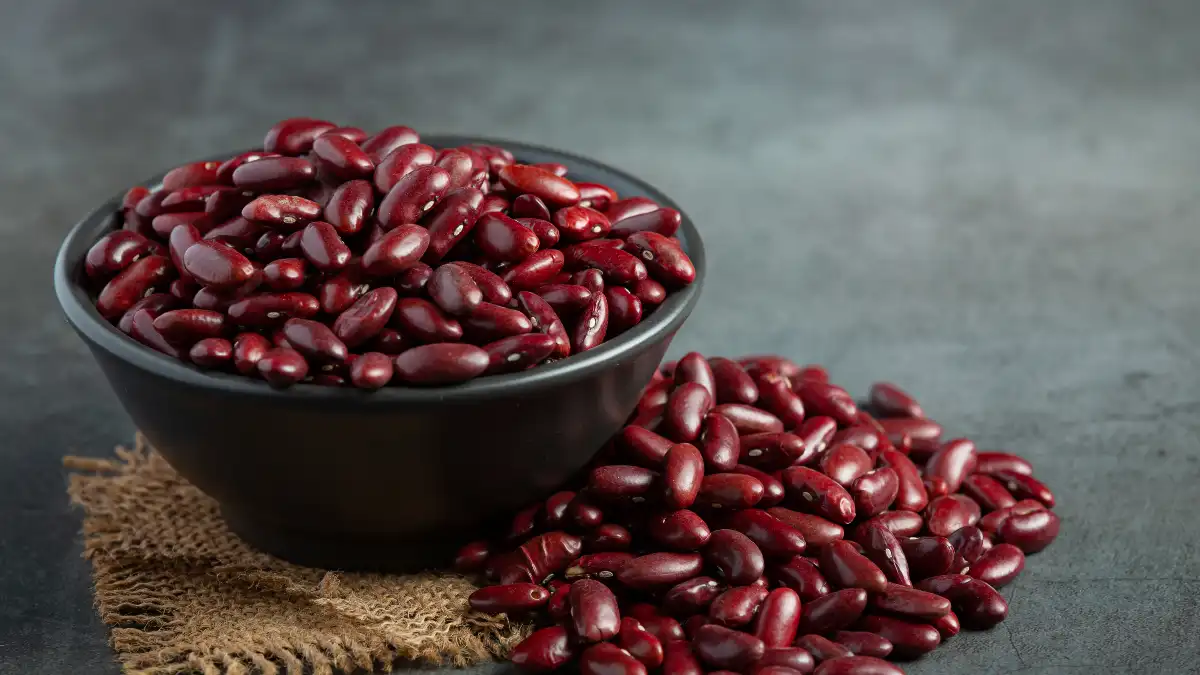 Nutrient-dense dark beans in a bowl, a high-fiber and resistant starch source for stable blood sugar and long-lasting energy.
