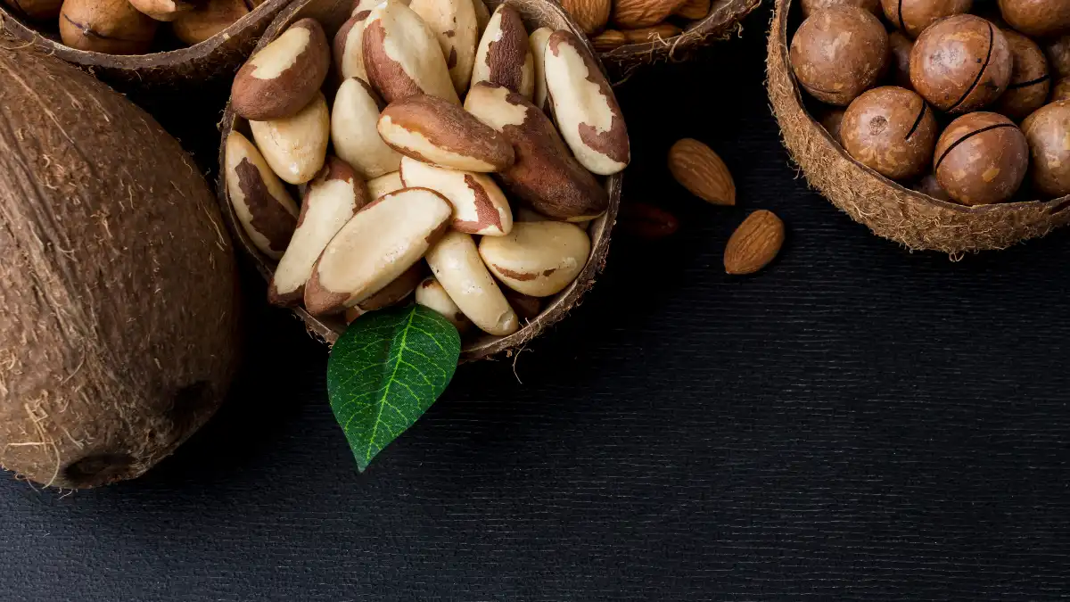 Raw Brazil nuts in rustic coconut bowls providing the serum selenium levels required to support muscle mass and physical performance in older adults.