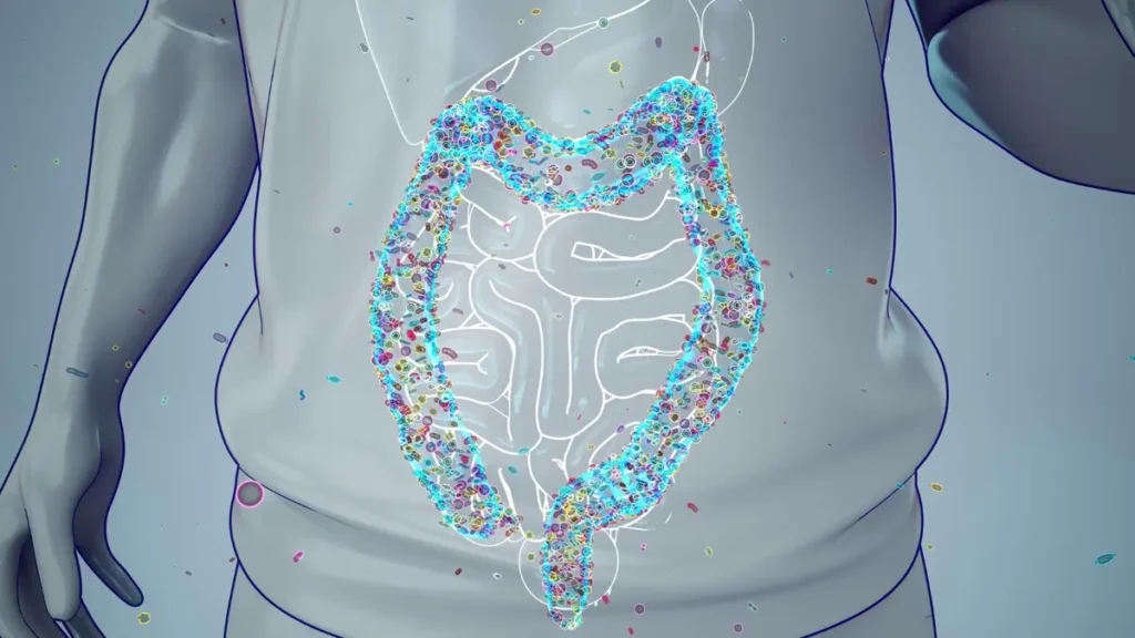 3D medical illustration of a human torso with a highlighted, colorful gut microbiome inside the digestive tract.