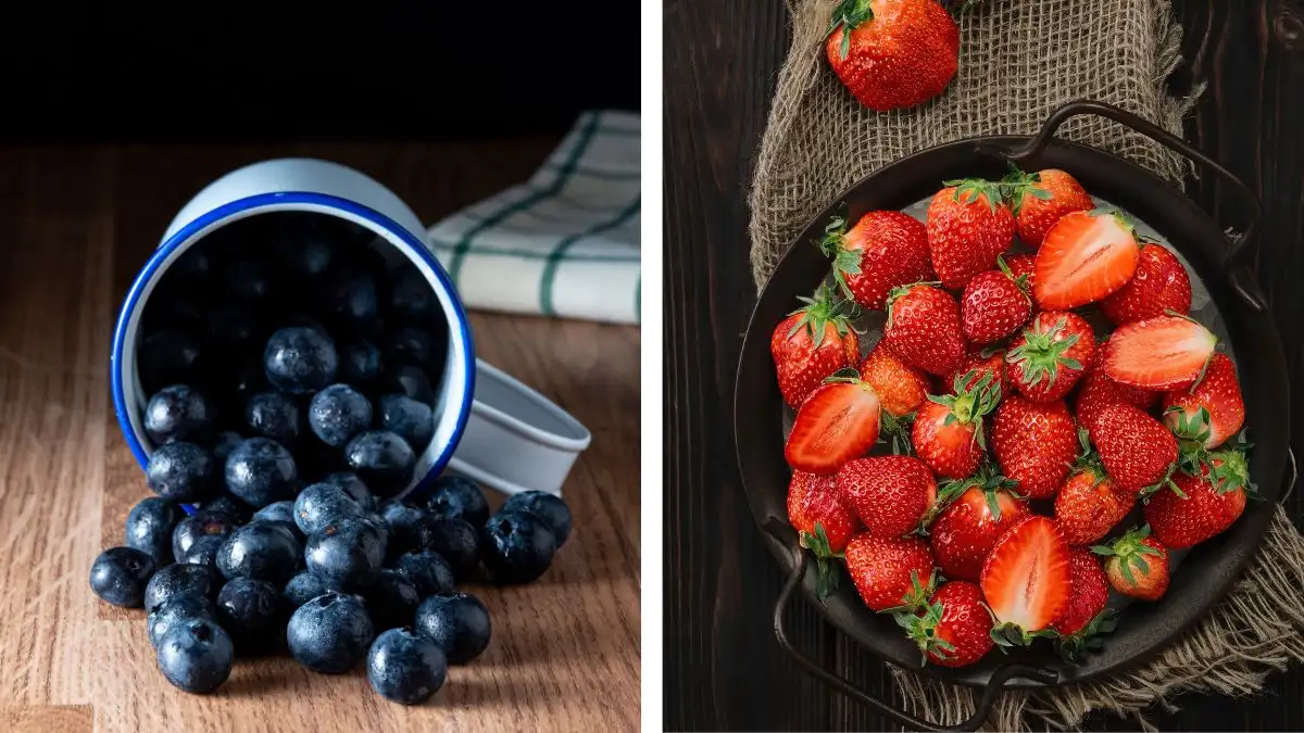 A two-panel graphic featuring fresh blueberries spilling out of a white enamel mug and a rustic metal bowl filled with whole and sliced strawberries. The image highlights antioxidant-rich fruits recommended for cognitive health.