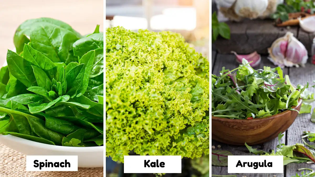 A three-panel nutrition infographic featuring fresh spinach, curly kale, and a bowl of arugula. Each panel is labeled to highlight dark leafy greens rich in folate and Vitamin K for brain and heart health.