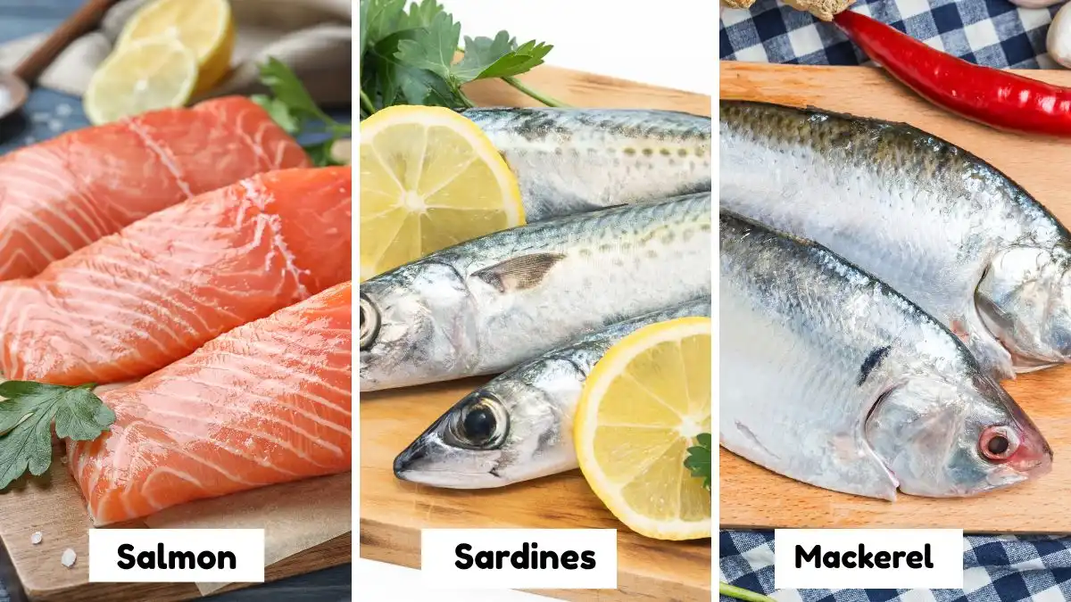 A three-panel infographic showing fresh salmon fillets, whole sardines with lemon slices, and mackerel on a cutting board. Each panel is labeled with the fish name to highlight sources of Omega-3 fatty acids for healthy aging.