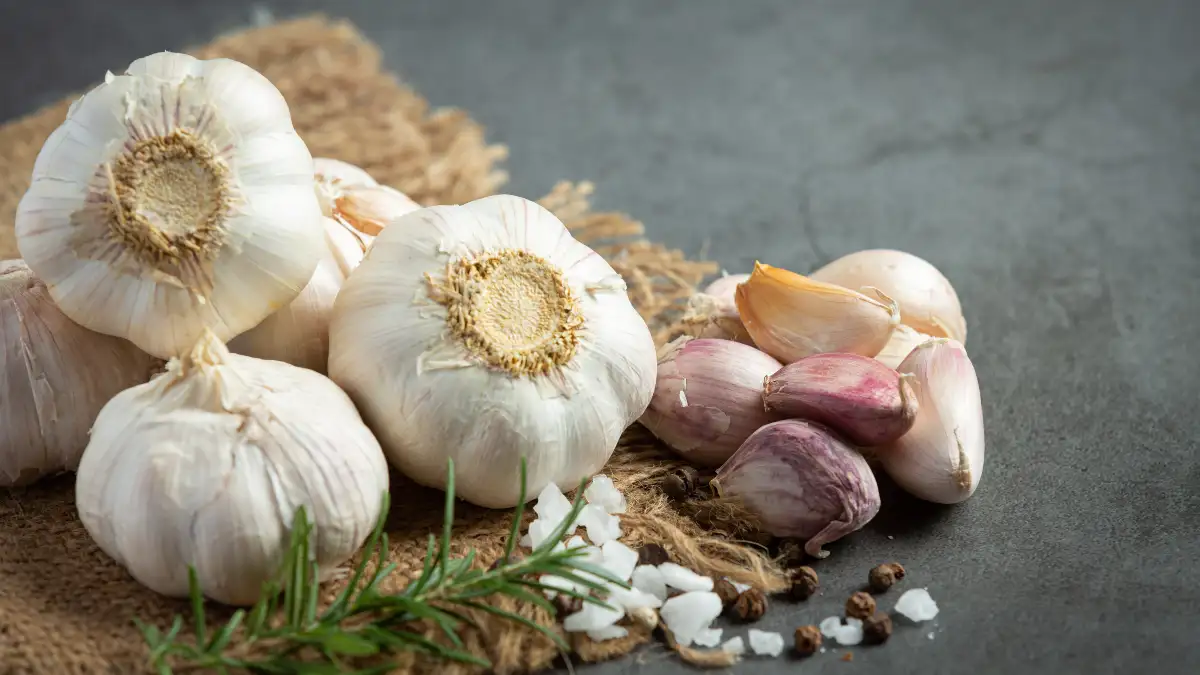 A rustic still life of whole white garlic bulbs on burlap, accompanied by purple-tinged garlic cloves, fresh rosemary, sea salt, and black peppercorns on a dark gray surface.