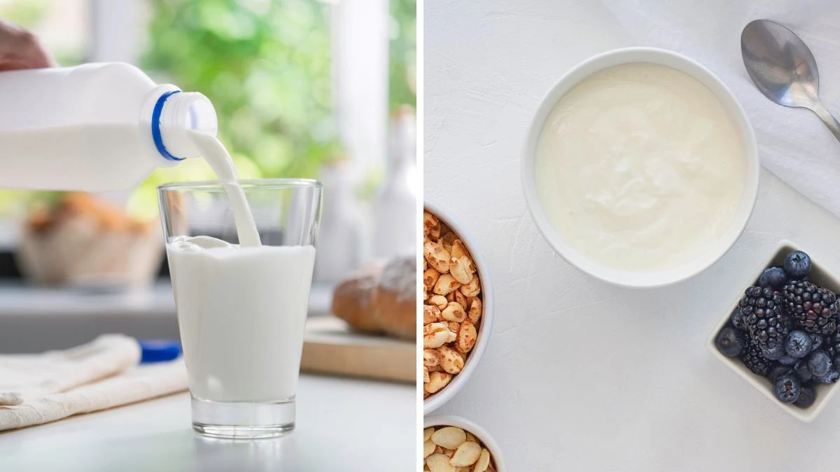 Hand pouring low-fat milk from a carton into a glass beside a white bowl of plain yogurt — both shown in studies to actively lower uric acid levels in the blood.