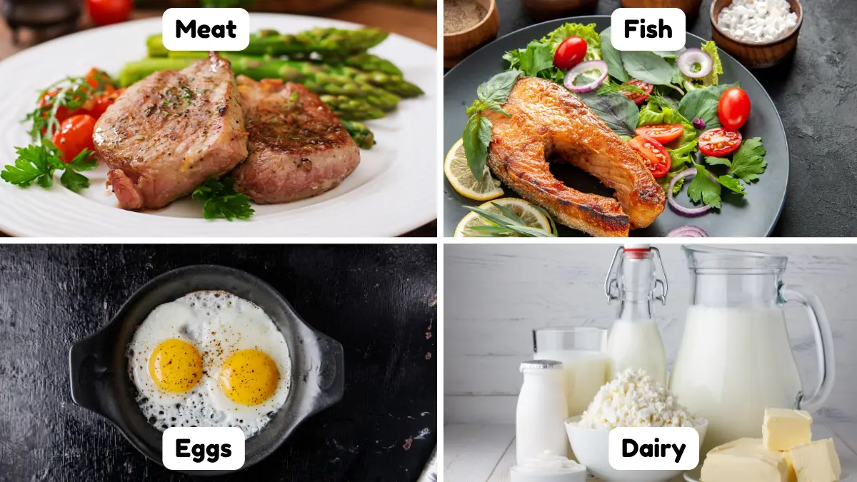Four-panel grid showing the primary animal-based food sources of vitamin B12: grilled meat, salmon fillet, fried eggs, and dairy products including milk and cottage cheese.