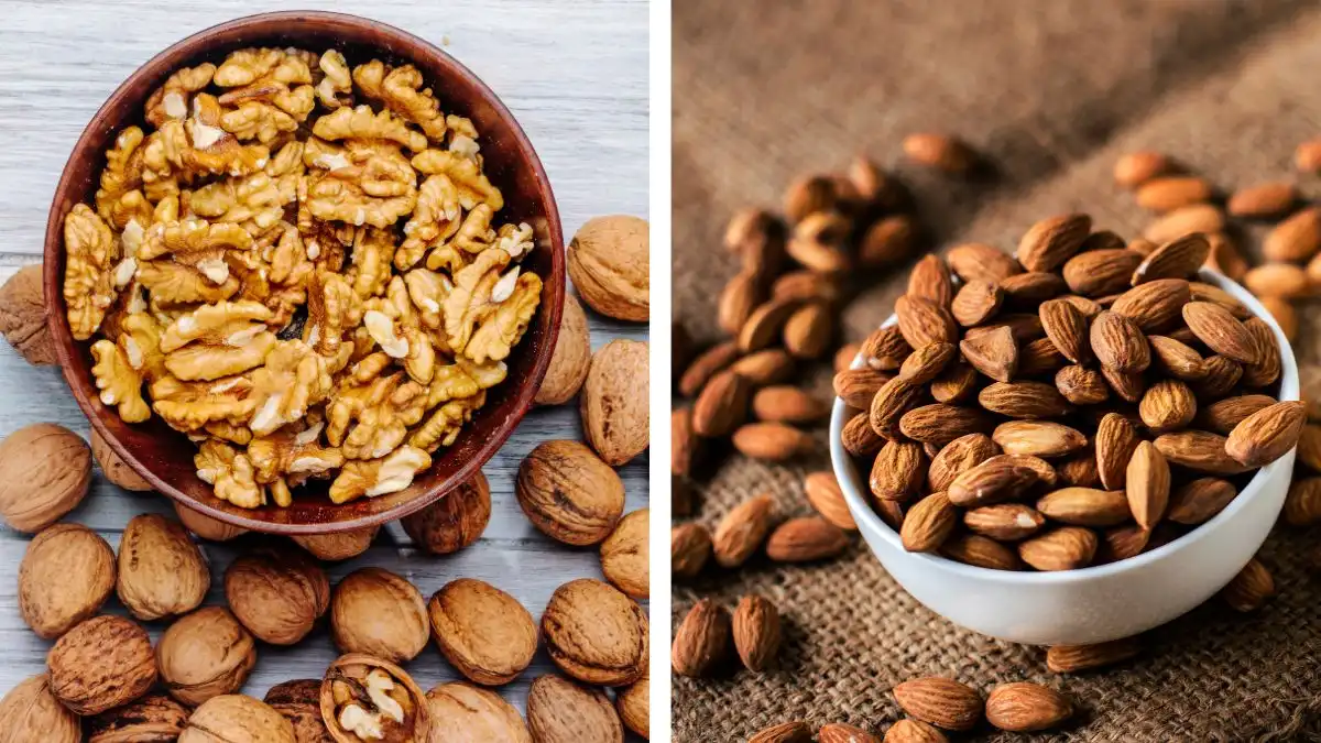 A two-panel graphic featuring shelled walnut halves in a wooden bowl and a white bowl overflowing with whole almonds. The image highlights nutrient-dense nuts rich in healthy fats and polyphenols for longevity.