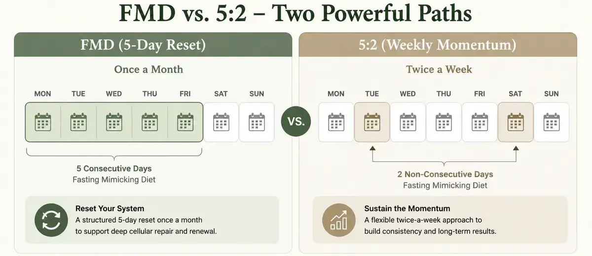 Comparison chart of the Fasting Mimicking Diet and 5:2 protocol for balancing basal metabolic rate.