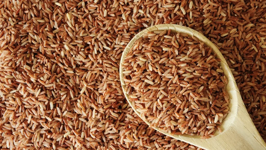Raw brown rice grains heaped on a wooden spoon, a slow-digesting whole grain that sustains energy after meals.