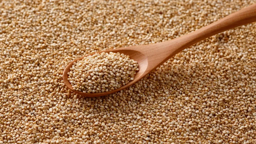 Raw quinoa grains filling a wooden spoon, a fiber-rich grain that digests slowly for steady energy.