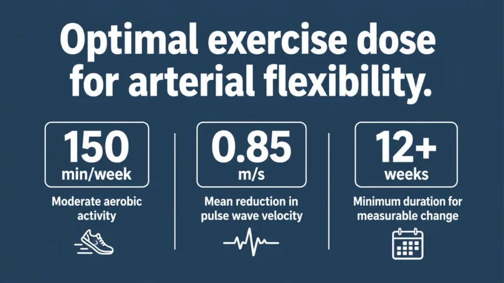Infographic showing research-backed exercise guidelines for arterial flexibility: 150 minutes per week of moderate aerobic activity, 0.85 m/s mean reduction in pulse wave velocity, and 12 or more weeks minimum for measurable change.