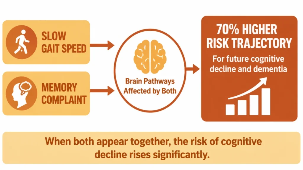 Process flow diagram of Motoric Cognitive Risk factors demonstrating how slow gait speed and memory complaints converge to indicate a 70% higher risk trajectory for cognitive decline, with directional arrows linking dual symptoms.