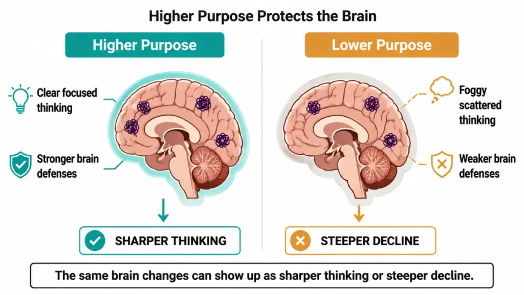Split-screen brain illustration: higher purpose linked to clear focused thinking and stronger brain defenses leading to sharper thinking, versus lower purpose linked to foggy scattered thinking and weaker brain defenses leading to steeper decline.