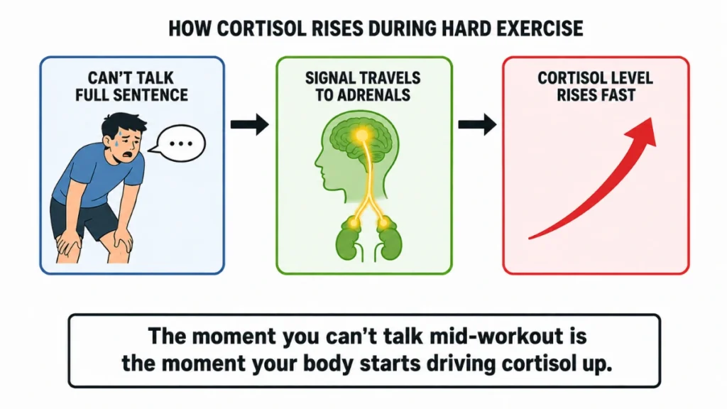 Diagram of how crossing the breathing threshold during exercise activates the fight-or-flight switch, driving exercise cortisol up in three stages, with arrows showing the direction from breath to stress hormone.
