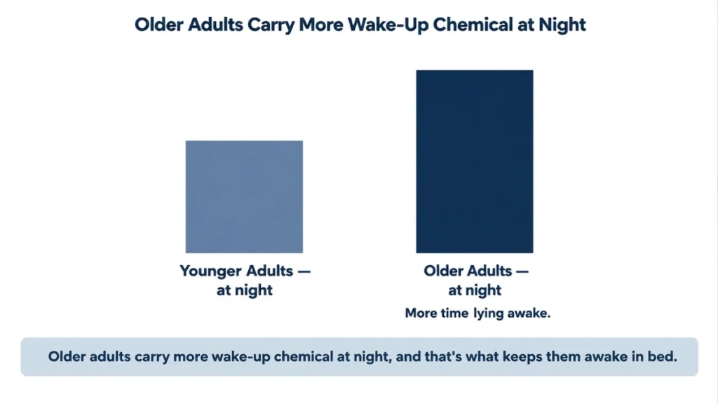 Bar chart comparing nighttime wake-up chemical levels in younger and older adults, demonstrating why older adults spend more time lying awake in bed.