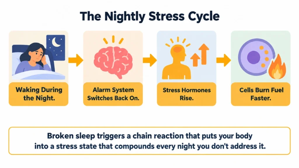 Process diagram of the sleep fragmentation chain reaction demonstrating how broken sleep triggers stress hormones and increased cellular fuel use, with arrows showing the direction of each stage.